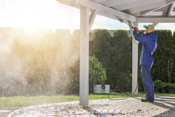Best Animal Enclosure Cleaning  in Independence, MN